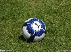 曼联引援反,麦克托米奈,称引援效果,赢彩网,彩票平台,在线投注,高频彩票,快速开奖